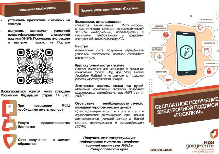 Зачем нужен Госключ.
